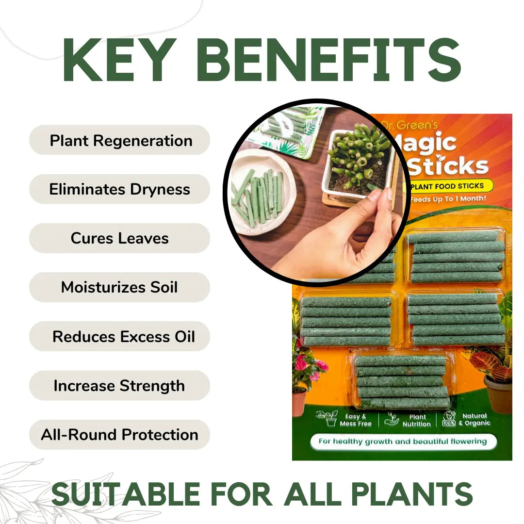 EverGreen's - Magic Plant Sticks (50 sticks)