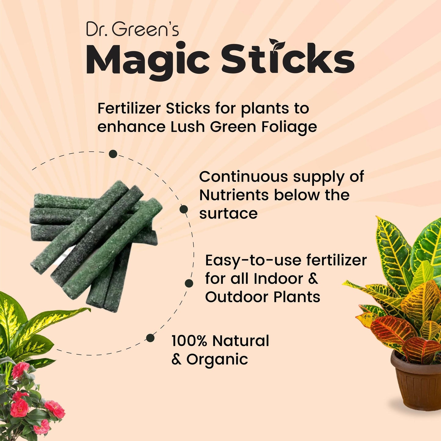 EverGreen's - Magic Plant Sticks (50 sticks)