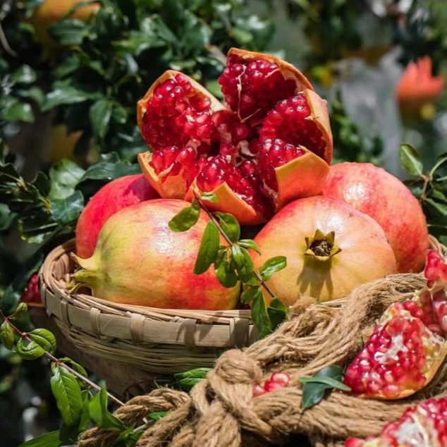 🌱 Crystal Pomegranate Seeds + Plant Growth Supplement FREE🔥