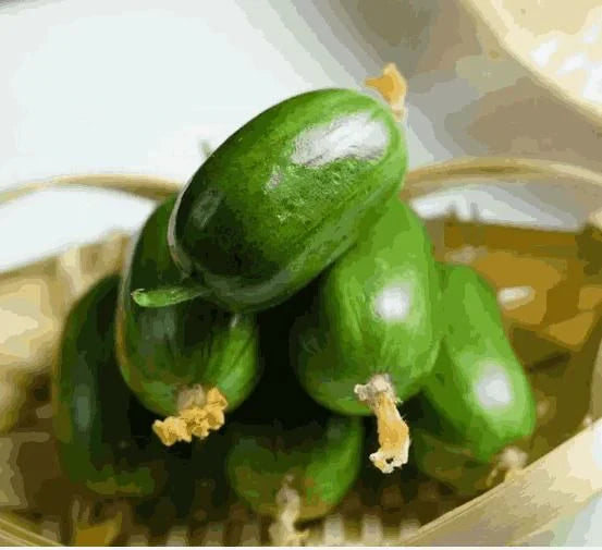 🥒Jade Lady Cucumber Seeds 🥒+ 🔥Plant Growth Supplement FREE🔥