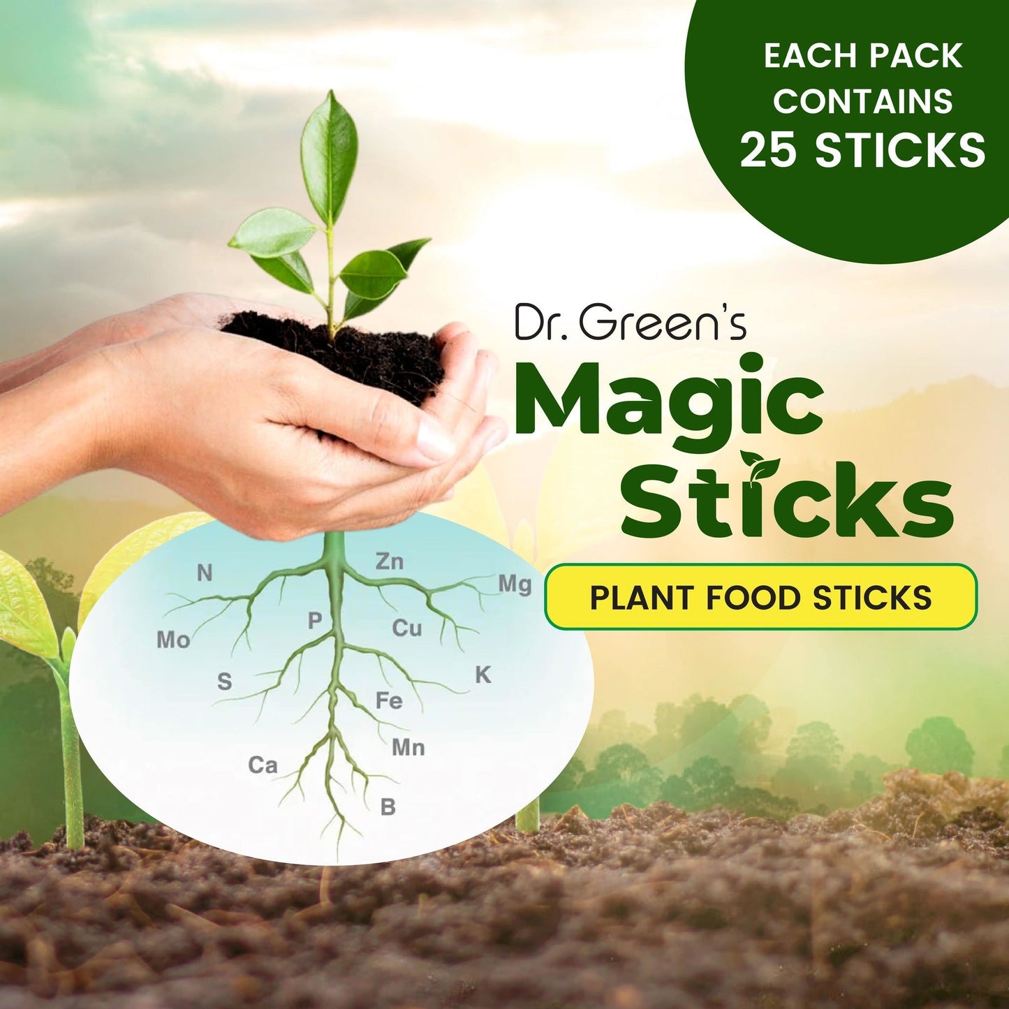 EverGreen's - Magic Plant Sticks (50 sticks)