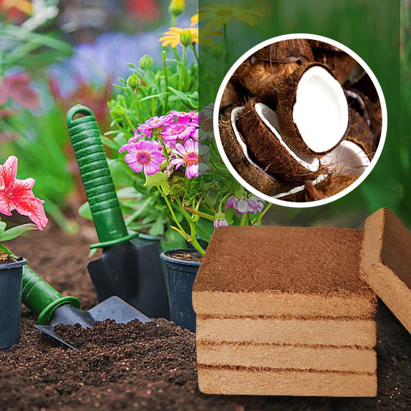 š„„ Organic Coconut Coir Bricks for Plants š„Pack Of 2š„