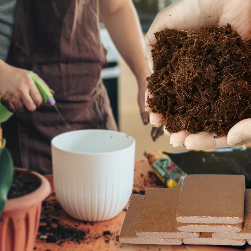 š„„ Organic Coconut Coir Bricks for Plants š„Pack Of 2š„