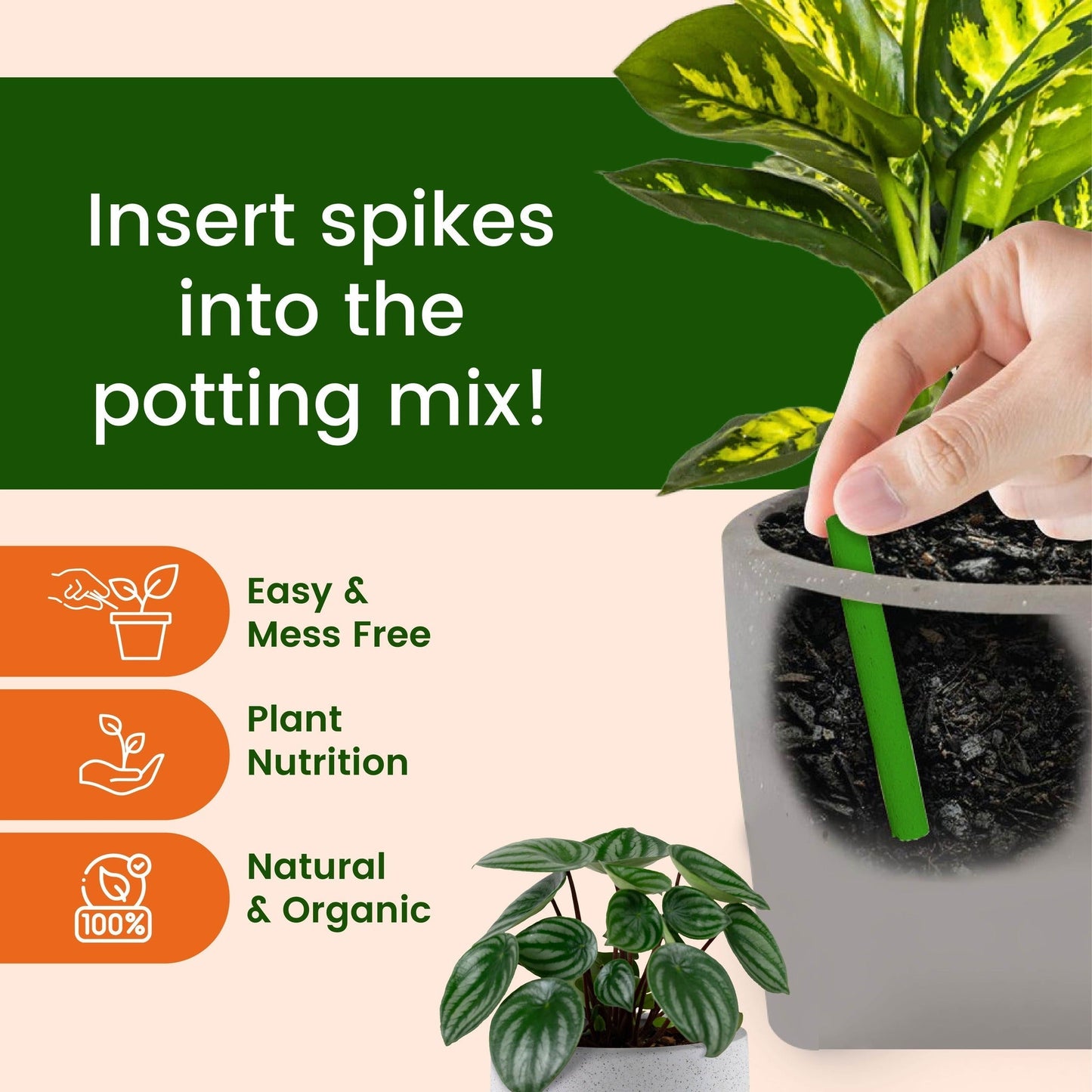 EverGreen's - Magic Plant Sticks (50 sticks)