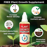 Tuberoses 🌸 Bulbs! 🌸+ 🔥Plant Growth Supplement FREE🔥