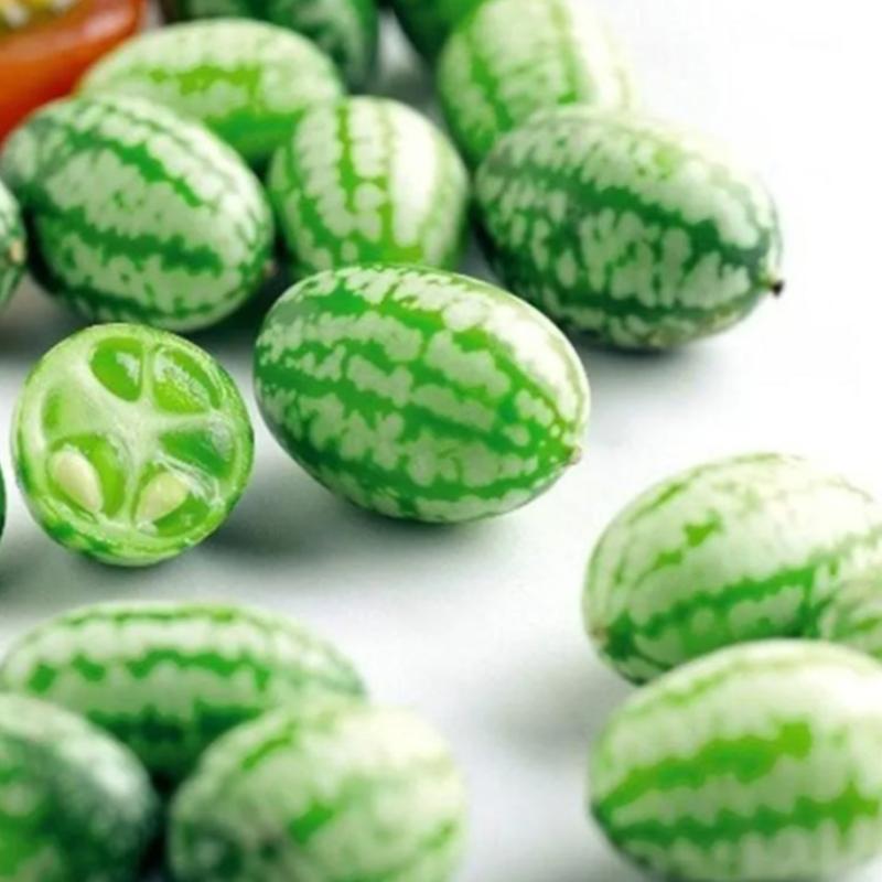 🍉 Cucamelon Seeds For Home Garden + Plant Growth Supplement FREE🔥