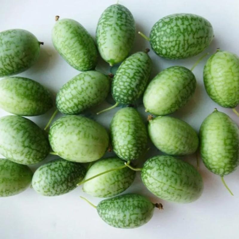 🍉 Cucamelon Seeds For Home Garden + Plant Growth Supplement FREE🔥