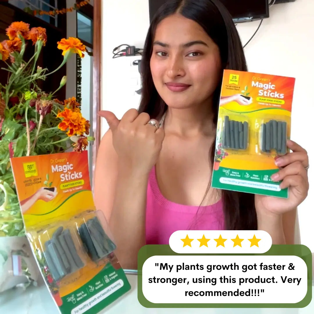EverGreen's - Magic Plant Sticks (50 sticks)