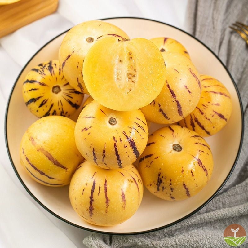 🥭Ginseng Fruit Seeds+🔥+ Plant Growth Supplement FREE🔥