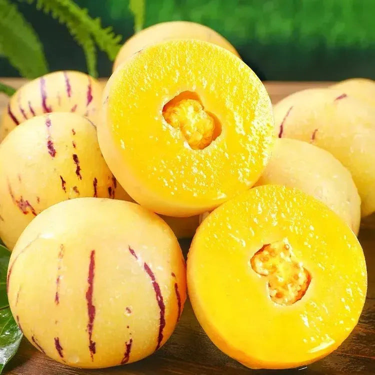 🥭Ginseng Fruit Seeds+🔥+ Plant Growth Supplement FREE🔥