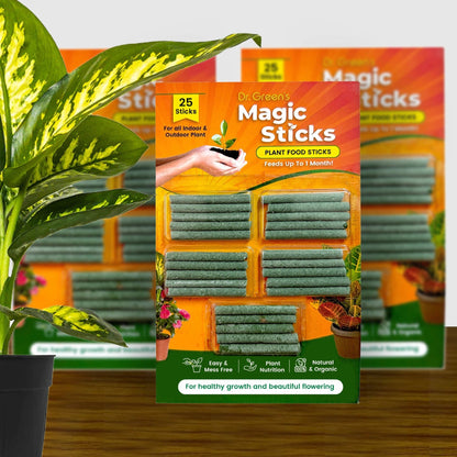 EverGreen's - Magic Plant Sticks (50 sticks)