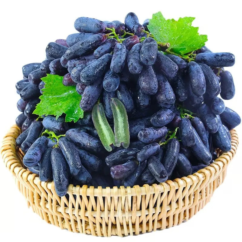 Sweet Sapphire Grape Seeds 🍇+ Plant Growth Supplement FREE🔥
