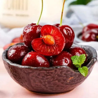 🍒Imported Rainier Cherry Fruit Seeds🍒 + Plant Growth Supplement FREE🔥
