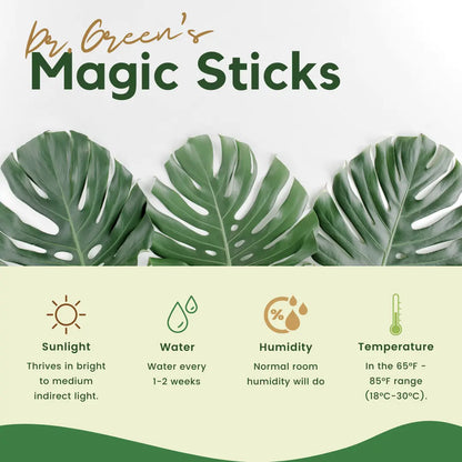 EverGreen's - Magic Plant Sticks (50 sticks)