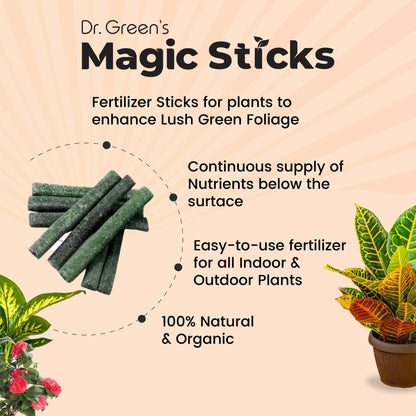 EverGreen's - Magic Plant Sticks (50 sticks)