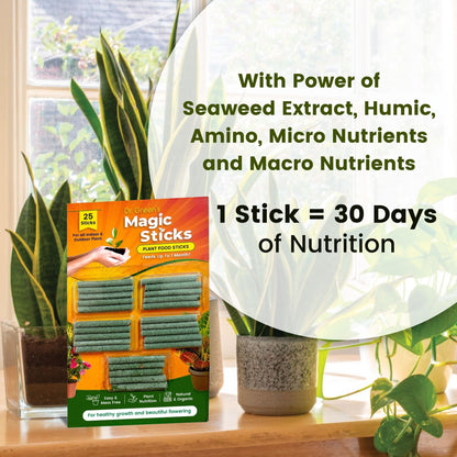 EverGreen's - Magic Plant Sticks (50 sticks)