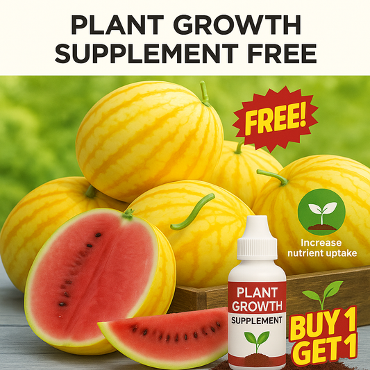 🍉 Yellow Watermelon Seeds + Plant Growth Supplement FREE🔥