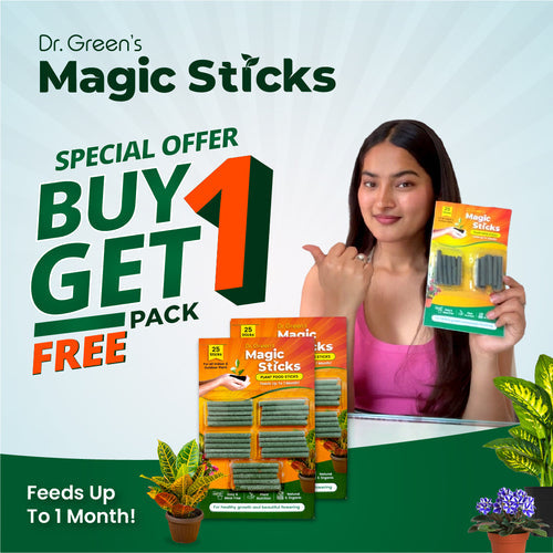 EverGreen's - Magic Plant Sticks (50 sticks)