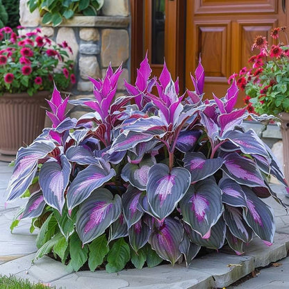 🌿 Colorful Hosta Seeds – The King of Shade in the Garden! 🌿