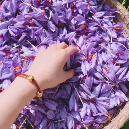Saffron Bulbs 🔥+ free plant growth supplement🔥